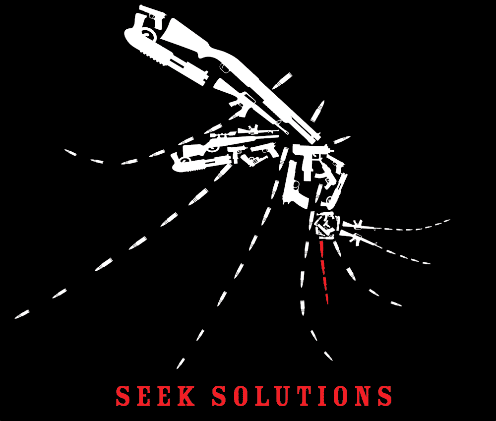 Seek Solutions